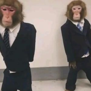 Makaka